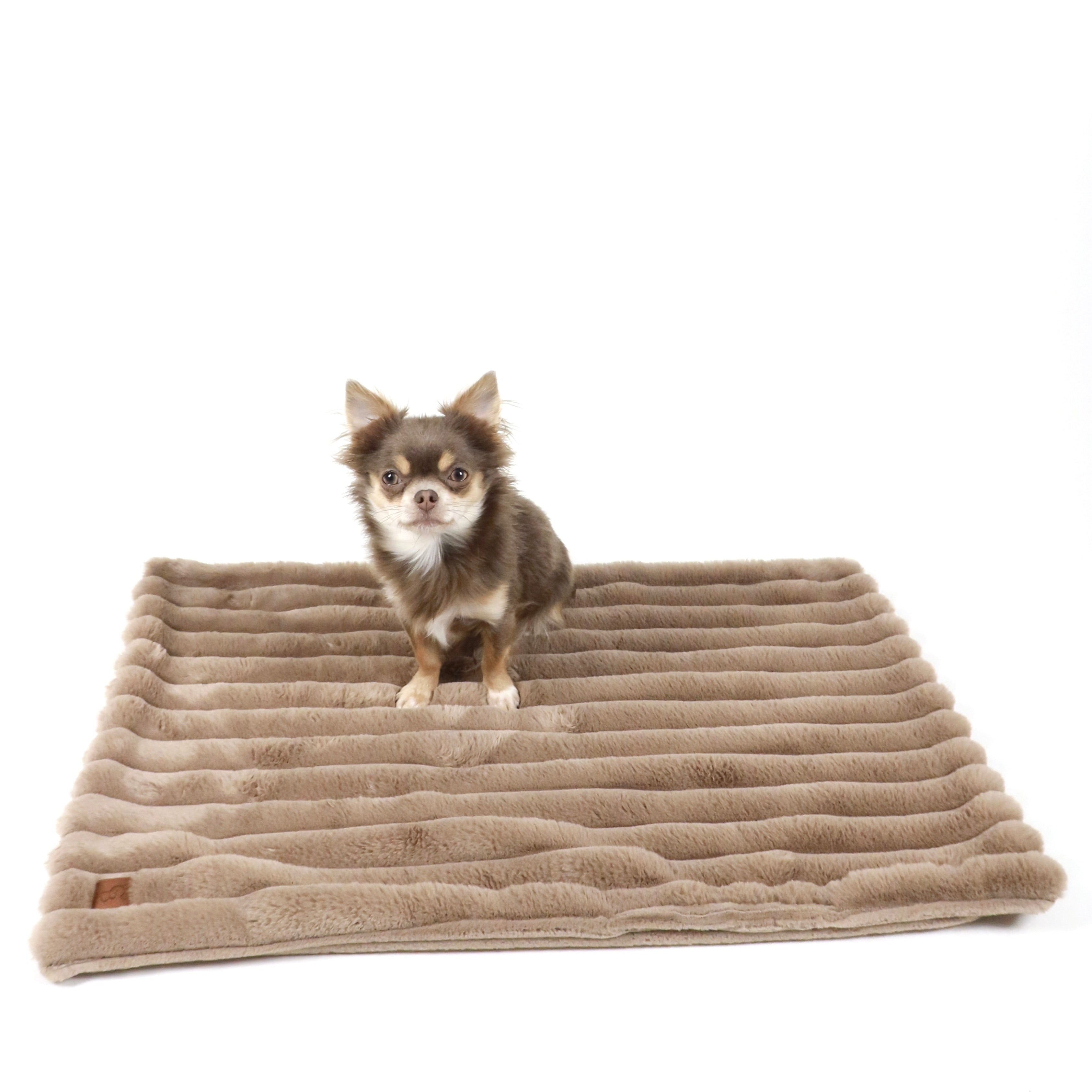 Kocyk dla psa Lilan - Latte