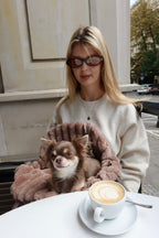Reisetasche für Hunde Chiboo Lilan - Latte