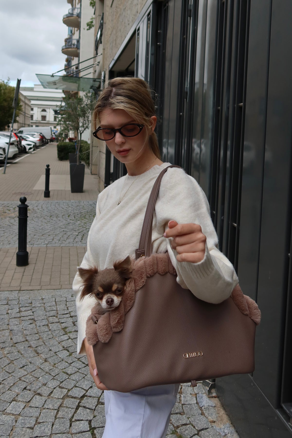 Reisetasche für Hunde Chiboo Lilan - Latte