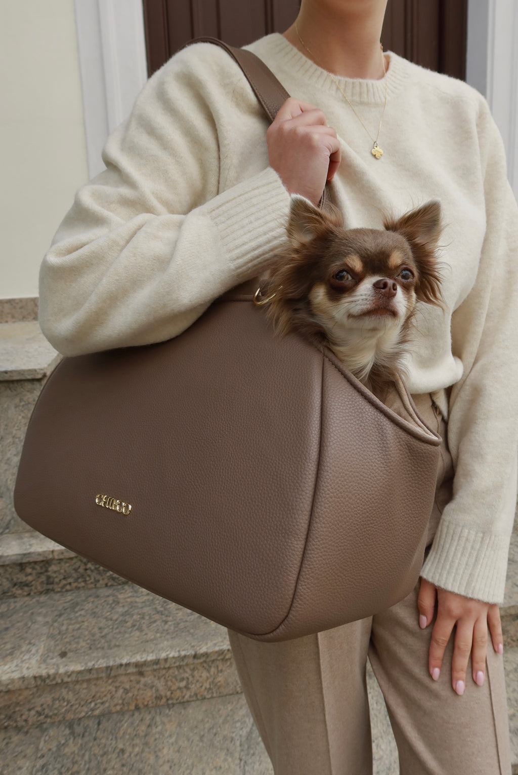 Mirel Smooth Set - Reisetasche für Hunde Latte + 1 herausnehmbares, wendbares Innenfutter