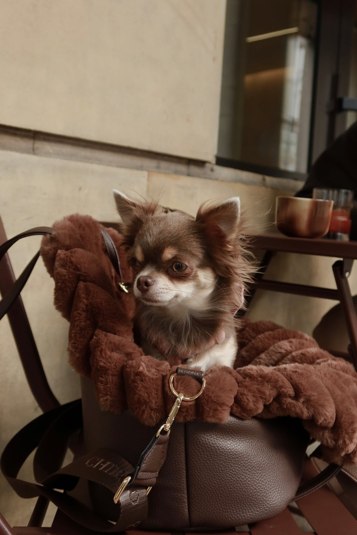 Borsa da viaggio per cane Chiboo Lilan - Mocha