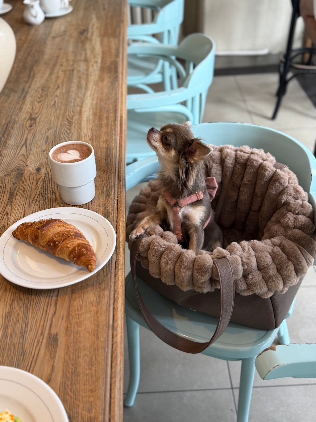 Ensemble Mirel Striped - sac de voyage pour chien Latte + 1 intérieur amovible et réversible